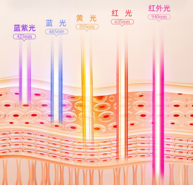 1701913424251709.png 4.png